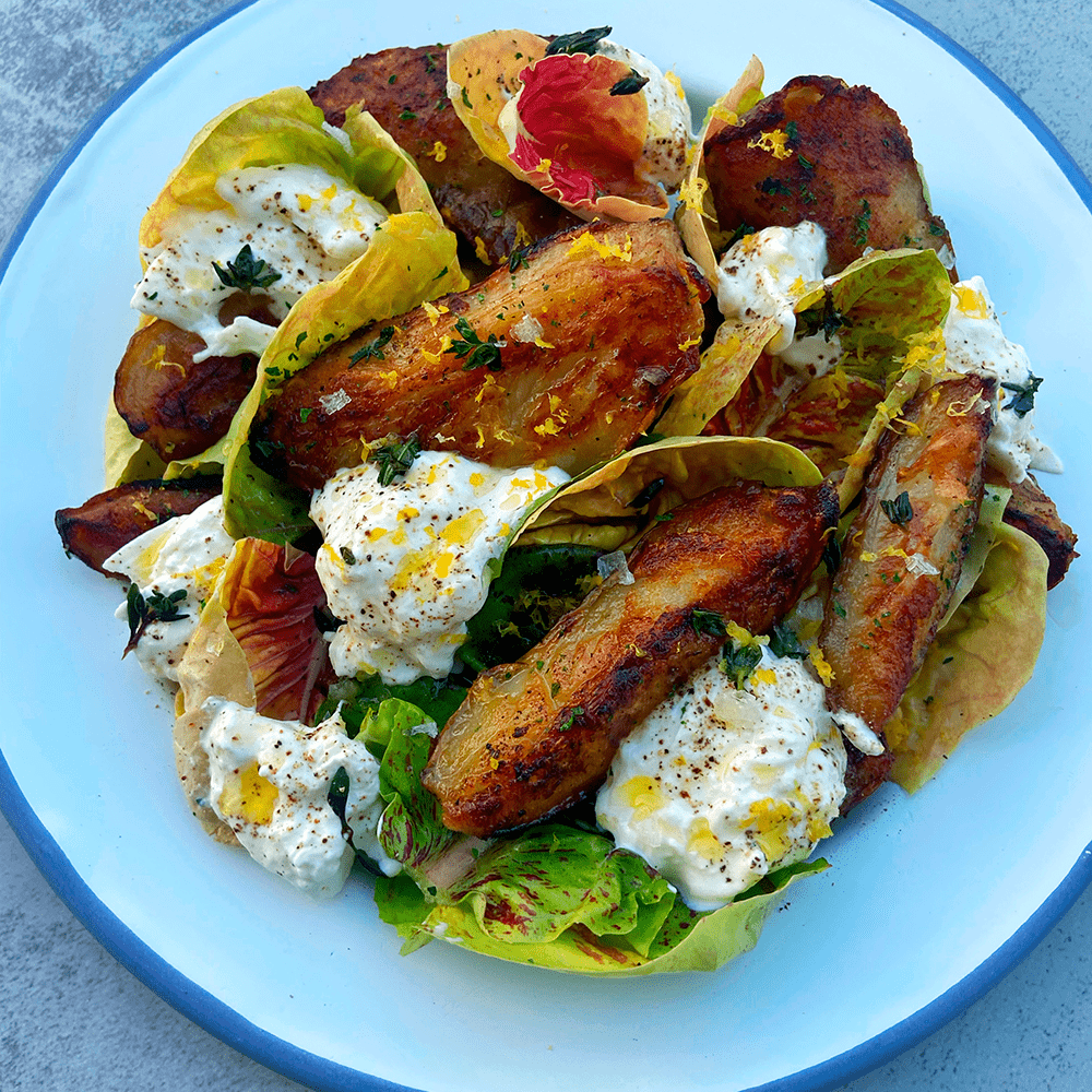 Roast Jerusalem artichoke with burrata and radicchio